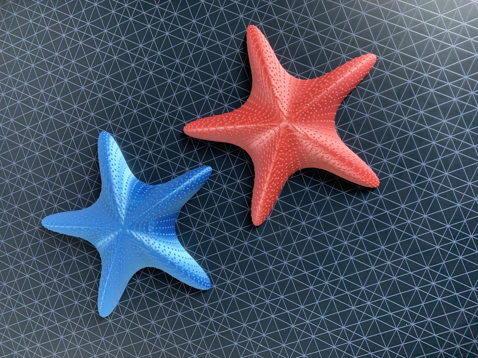 Referans görsel — model: Minyatür Deniz Canlısı No.28 — Deniz Yıldızı · tasarım: dajanka.3d (printables). Wefty Design'in kendi baskısının fotoğrafı değildir.